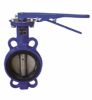 wafer type concentric butterfly valve